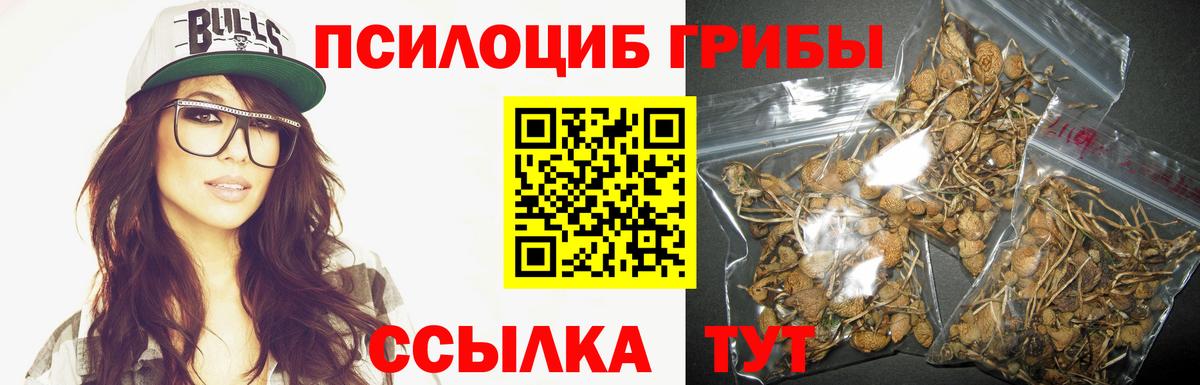 Псилоцибиновые грибы мицелий  Вход с VPN  что такое наркотик  Псилоцибиновые грибы мухоморы  Барнаул 