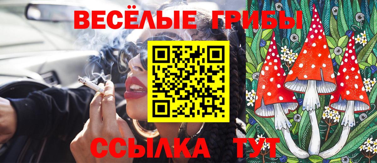 Галлюциногенные грибы прущие грибы Барнаул
